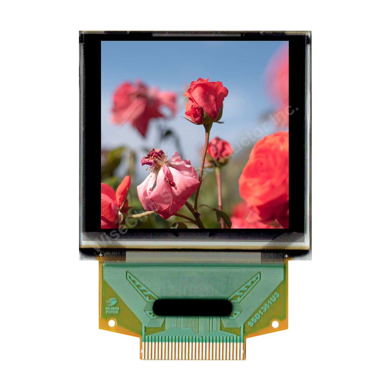 1.50” 128RGBx128
