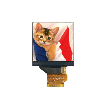 1.54" 240RGB x240 彩色 TFT LCD 显示器